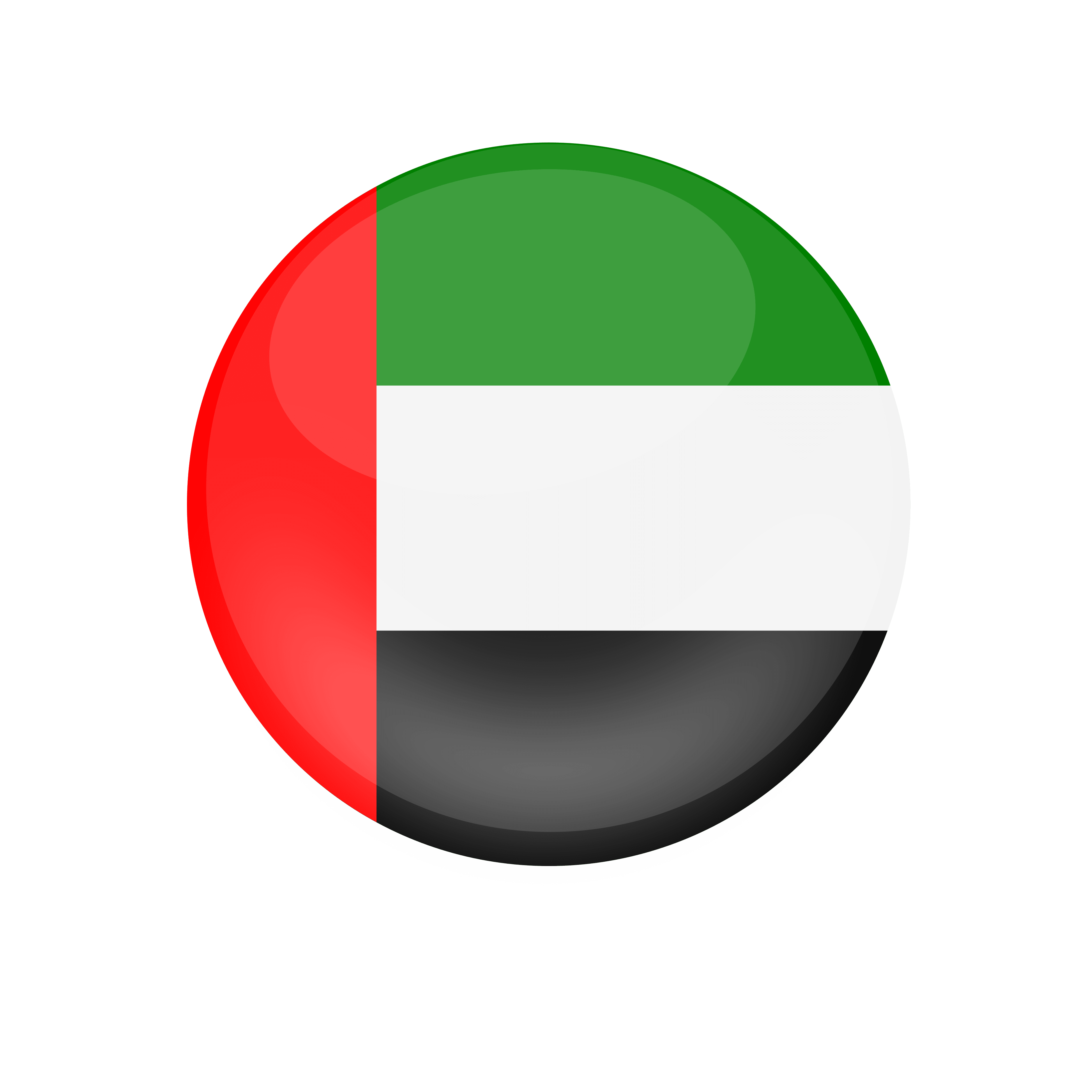 UAE Flag
